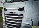 Dirt Deflectors DAF NGD XG/XG+